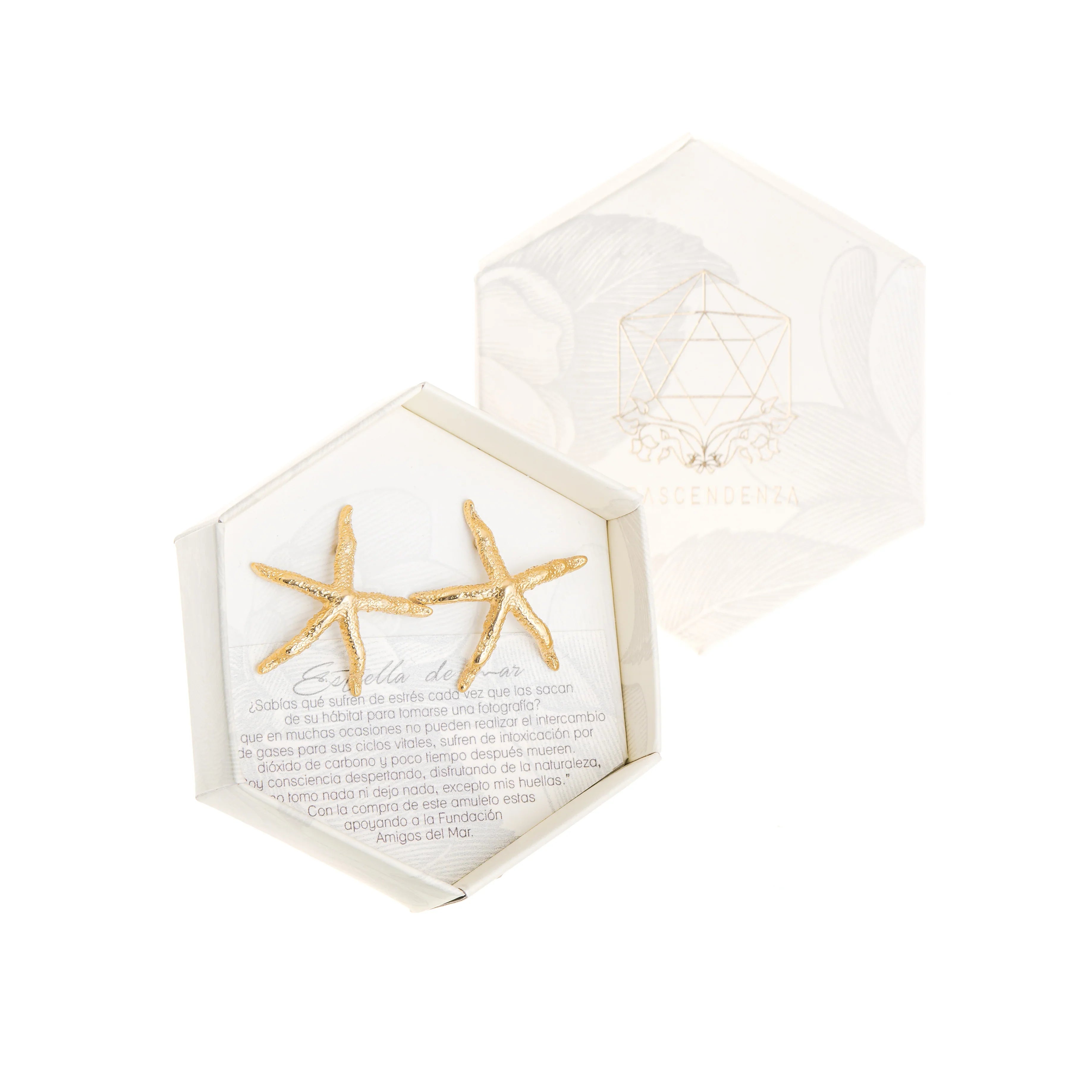 Aretes Estrella de Mar - Resiliencia